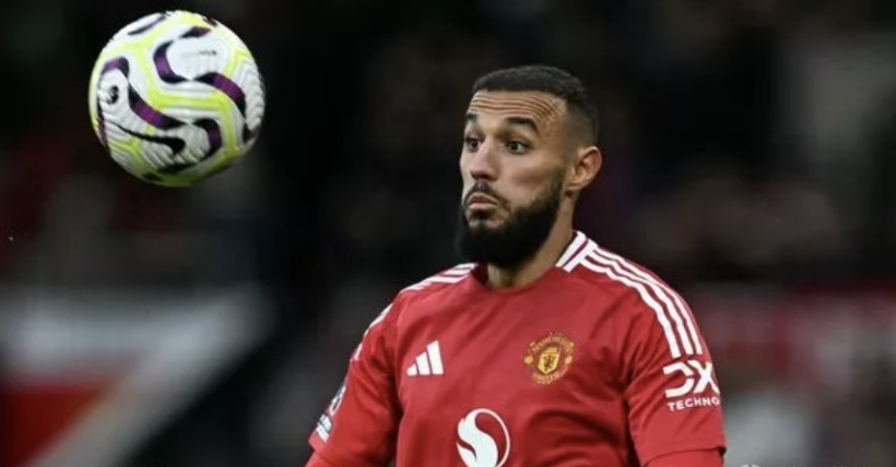 庭的成员 庭的成员