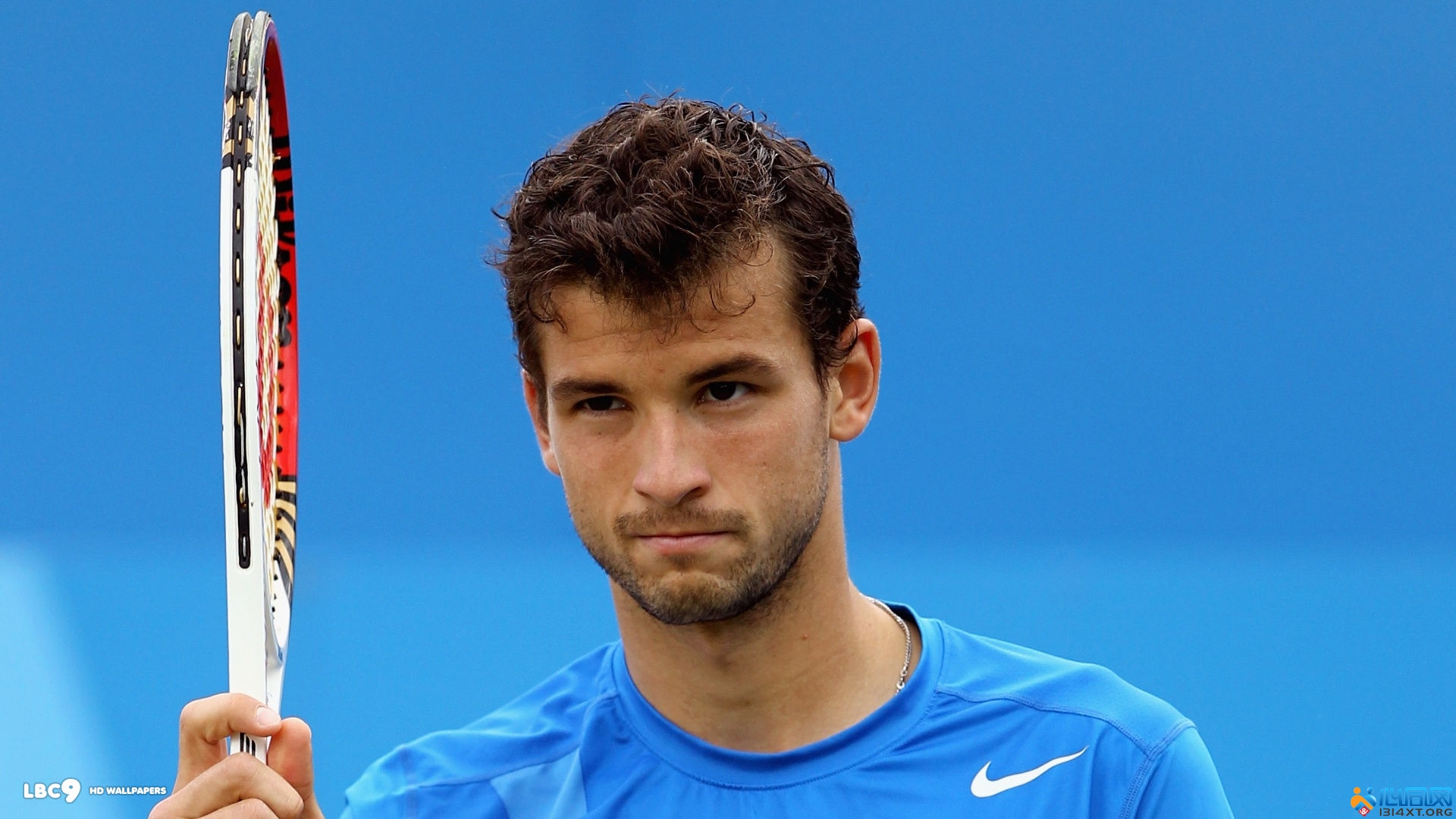 在国际裁判 在国际裁判